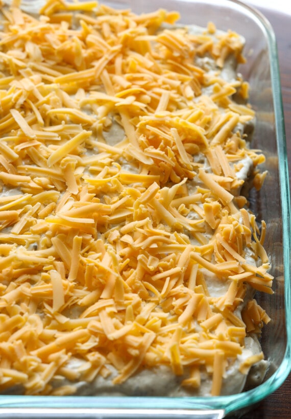 grated cheese on top of rolled up enchiladas in a casserole pan before going in the oven