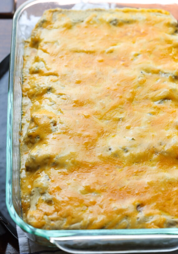 chicken enchiladas in a baking dish right from the oven with melted cheese on top